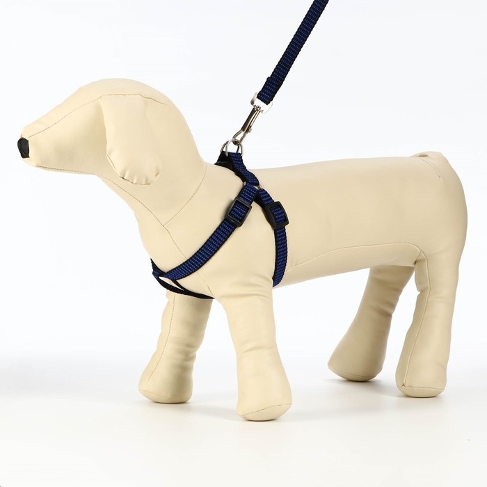 Комплект амуниции рельефный, поводок 120 х 1,5 см, ОГ 36-49 см, сине-чёрный Комплект амуниции рельефный, поводок 120 х 1,5 см, ОГ 36-49 см, сине-чёрный