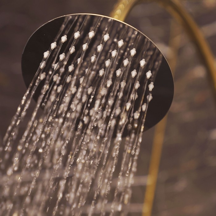 Лейка стационарная ZEIN Z0151, круглая, d=15 см, 1 режим, полированная нержавеющая сталь Лейка стационарная ZEIN Z0151, круглая, d=15 см, 1 режим, полированная нержавеющая сталь