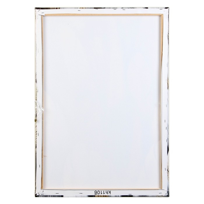 Картина на холсте Картина на холсте "Пёрышки" 50*70 см