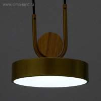 Светильник BayerLux 35425/1 LED 24Вт 3000-6000К золотой 18х18х20 см