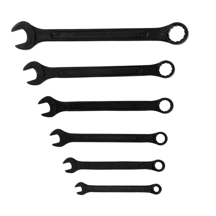 Набор ключей комбинированных в сумке ТУНДРА, фосфатированные, 6 - 17 мм, 6 шт. Набор ключей комбинированных в сумке ТУНДРА, фосфатированные, 6 - 17 мм, 6 шт.