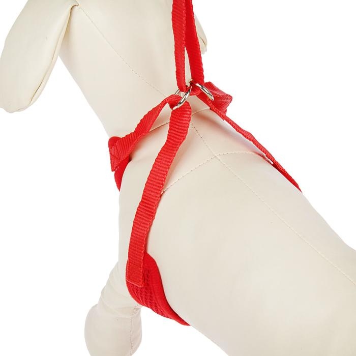 Шлейка регулируемая дышащая, светоотражающая, размер XL (ОШ 48-68; ОГ 58-72 см), красная Шлейка регулируемая дышащая, светоотражающая, размер XL (ОШ 48-68; ОГ 58-72 см), красная