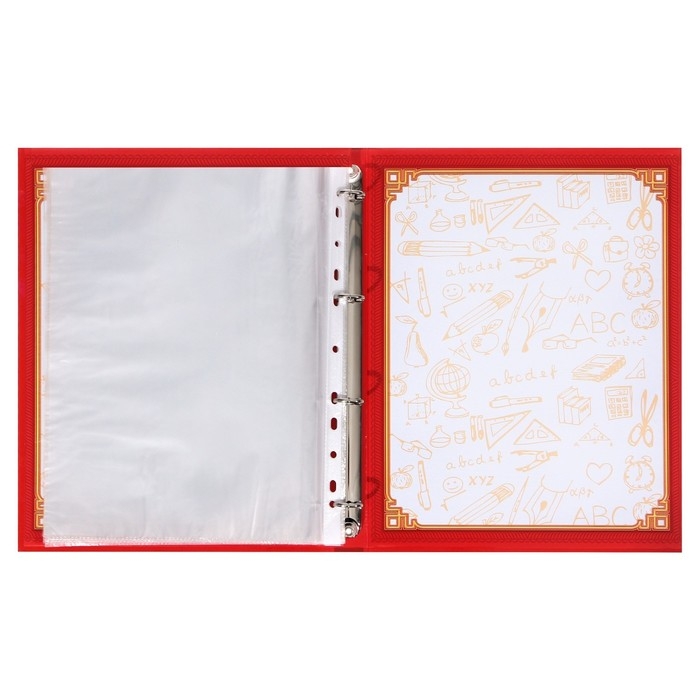 Папка школьная на кольцах «Портфолио школьника», 13 листов-разделителей, 24,5 х 32 см. Папка школьная на кольцах «Портфолио школьника», 13 листов-разделителей, 24,5 х 32 см.