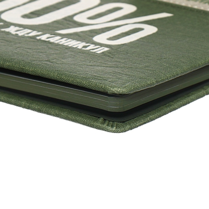 Дневник школьный для 1-11 классов, 50/50 %, твёрдая обложка с поролоном, искусственная кожа, шелкография, ляссе, универсальная шпаргалка, 48 листов, блок 80г/м2 Дневник школьный для 1-11 классов, 50/50 %, твёрдая обложка с поролоном, искусственная кожа, шелкография, ляссе, универсальная шпаргалка, 48 листов, блок 80г/м2