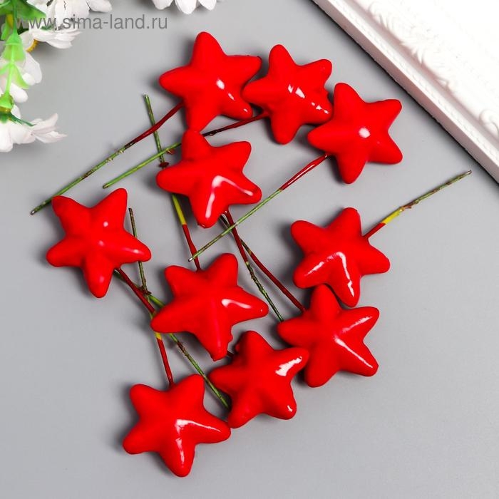 Декор для творчества Декор для творчества "Звёздочка" набор 10 шт 3,8х3,8 см