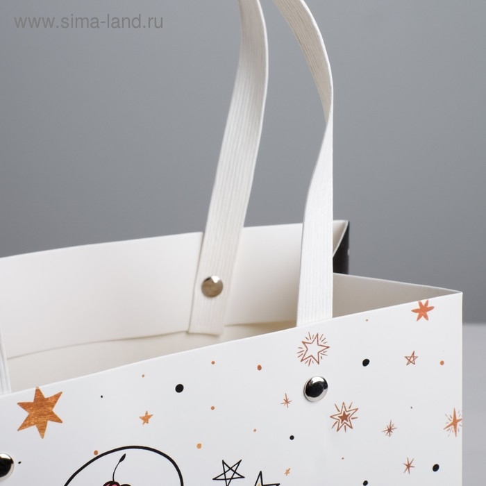 Пакет подарочный, упаковка, «Котик», 20 х 20 х 10 см Пакет подарочный, упаковка, «Котик», 20 х 20 х 10 см