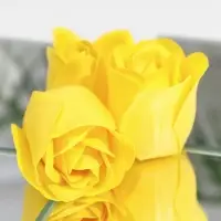 Мыльные розы, жёлтые, набор 3 шт.
