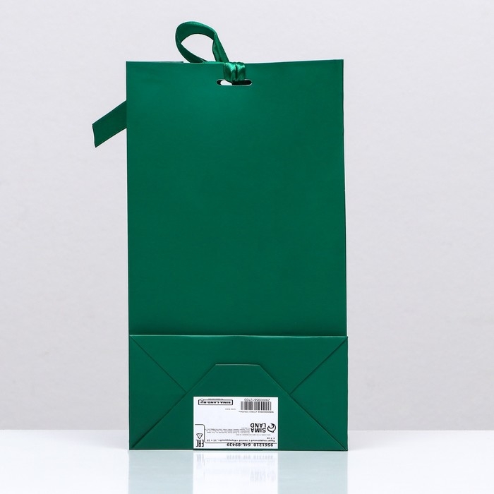Пакет подарочный с лентой «Зелёный» 13 х 23 х 7 см, 1 шт. Пакет подарочный с лентой «Зелёный» 13 х 23 х 7 см, 1 шт.