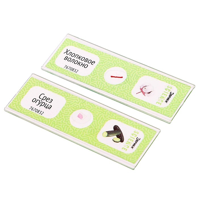 Набор для опытов «Набор микропрепаратов», растения Набор для опытов «Набор микропрепаратов», растения