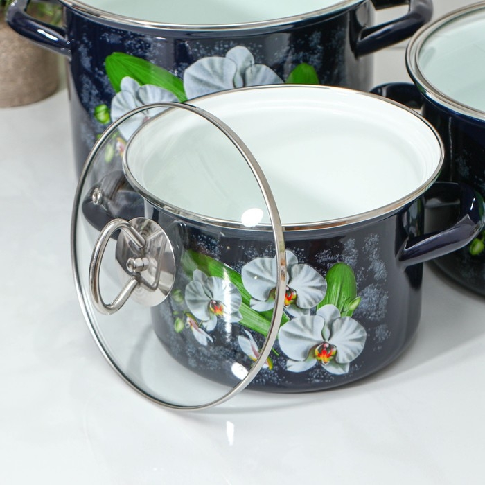 Набор эмалированных кастрюль «Ванда», 3 предмета: 2.4 л, 3.4 л, 5 л, индукция