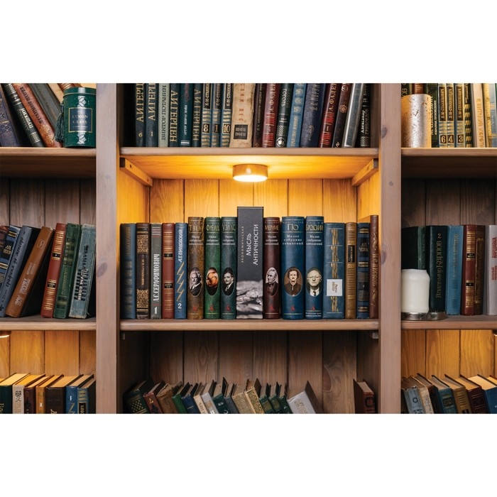 Сейф-книга  Сейф-книга "Экономическая мысль античности", 5,5х15,5х24 см, ключевой замок