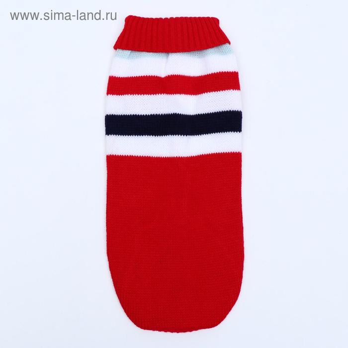 Свитер, размер 14 (ДС 40-55, ОШ 20-35, ОГ 36-51 см), микс расцветок Свитер, размер 14 (ДС 40-55, ОШ 20-35, ОГ 36-51 см), микс расцветок