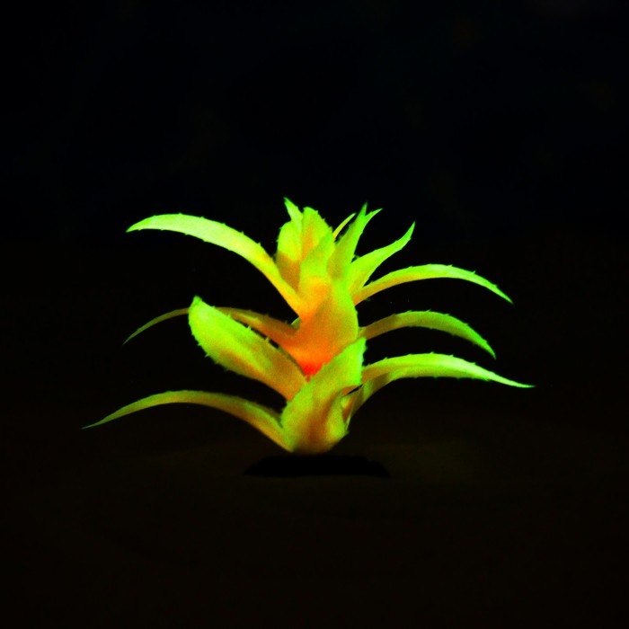 Растение искусственное аквариумное, светящееся, 10 см, красное Растение искусственное аквариумное, светящееся, 10 см, красное