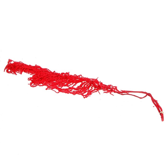 Сухие цветы амаранта, 100 г, размер листа: от 50 до 60 см, цвет красный Сухие цветы амаранта, 100 г, размер листа: от 50 до 60 см, цвет красный