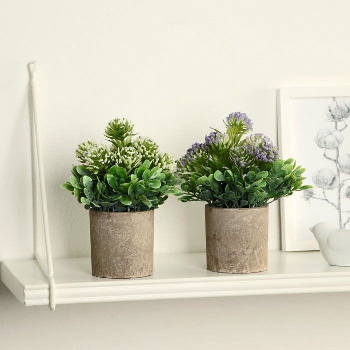 Бонсай в горшке Бонсай в горшке "Агапантус" 8х18 см, микс