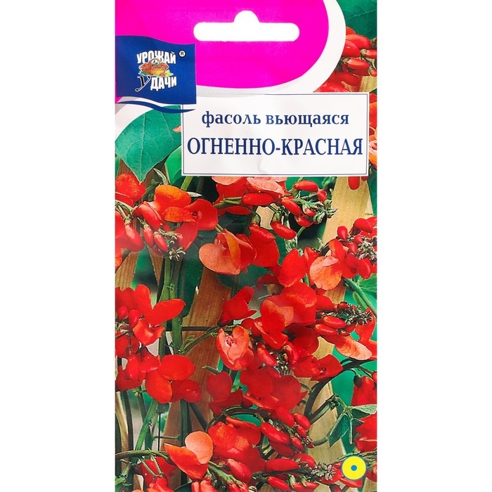 Семена цветов Фасоль  Семена цветов Фасоль "Вьющаяся", огненно-красная, 5 г