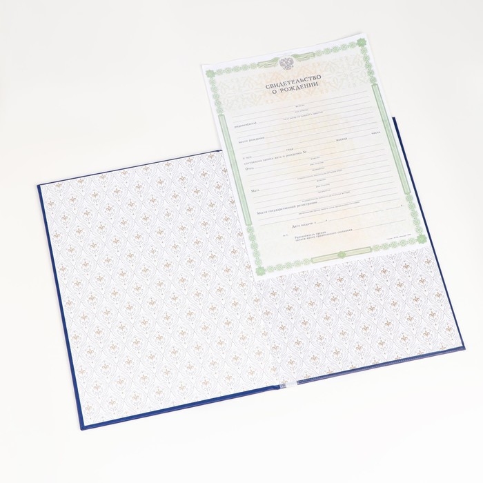 Папка для свидетельства о рождении "Синяя" бумвинил, мягкая, А4