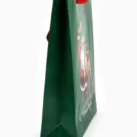 Пакет подарочный «Новогодний», с очками, 31 × 11 × 40 см Пакет подарочный «Новогодний», с очками, 31 × 11 × 40 см