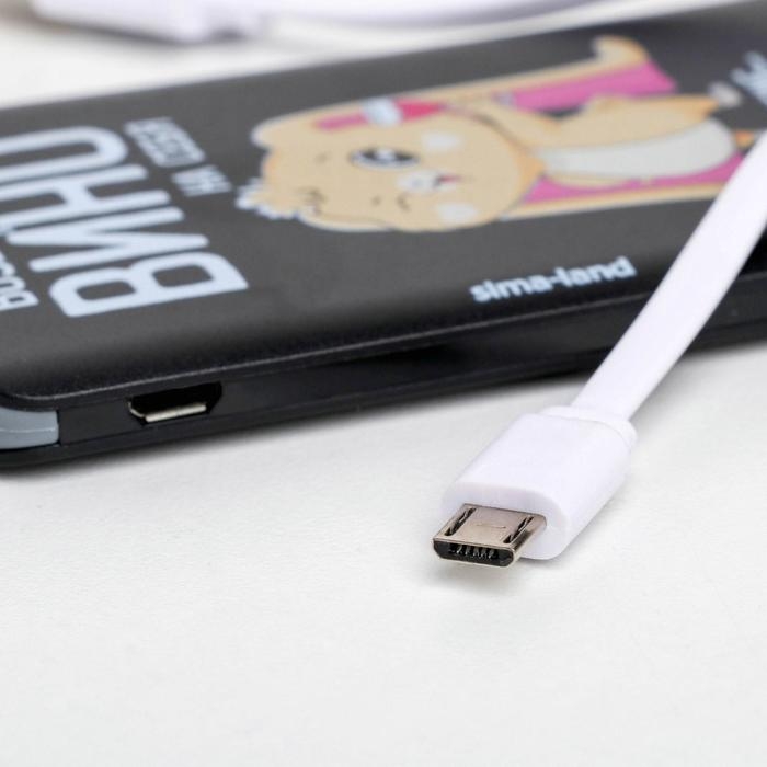 Зарядное устройство &laquo;Возьму все вино на себя&raquo;, 2500 mAh, 6 х 9,5 см