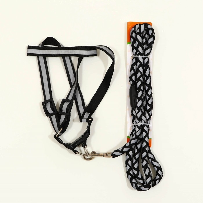 Комплект  Комплект "Плетенка", флуоресцентный, поводок 115 х 1 см, ОГ 32-48 х 1,5 см, чёрный