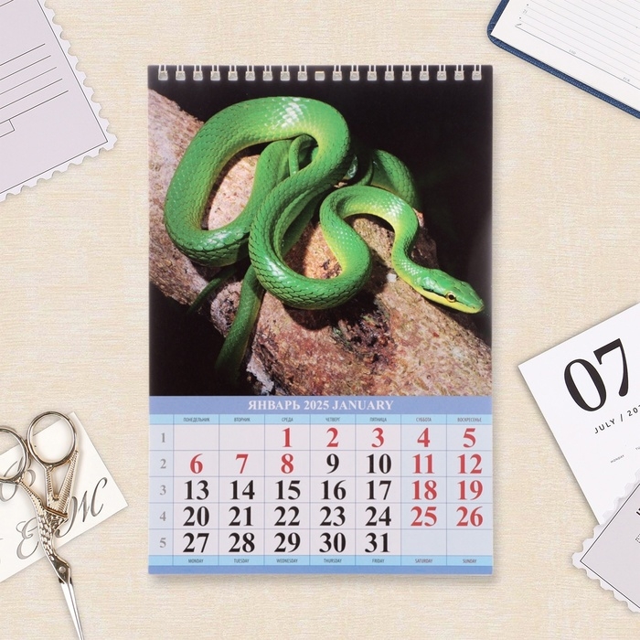 Календарь на пружине без ригеля Календарь на пружине без ригеля "Символ Года Вид - 1" 2025 год, 17 х 25 см
