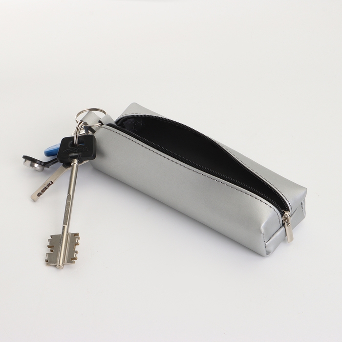 Ключница на молнии, длина 16 см, кольцо, карабин, цвет серебряный Ключница на молнии, длина 16 см, кольцо, карабин, цвет серебряный