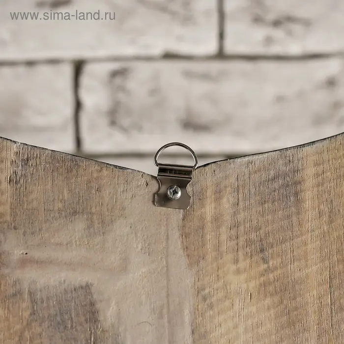 Панно зеркальное "Сова" 1,5х33х60 см