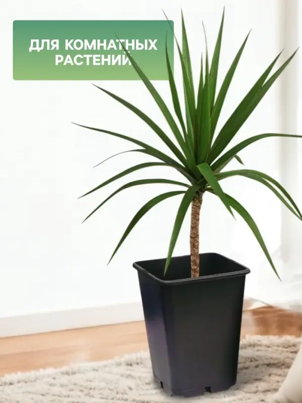 Горшок для рассады, 7 л, 21&times;21&times;27.5 см, чёрный