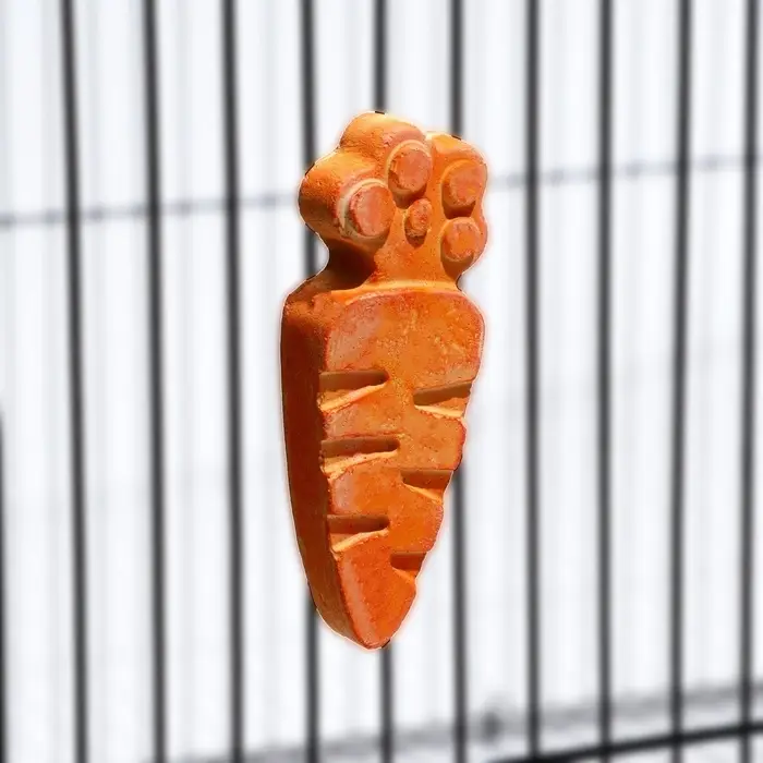 Минеральный камень для грызунов &laquo;Пижон&raquo;, морковка, 35 г