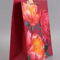 Пакет подарочный ламинированный &laquo;Яркий акцент&raquo;, 26&times;12&times;32 см