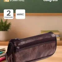 Пенал школьный на молнии Calligrata, 2 отделения, искусственная кожа, МИКС