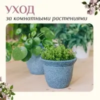 Набор садового инструмента, 3 предмета: рыхлитель, совок, грабли, длина 20 см, Greengo