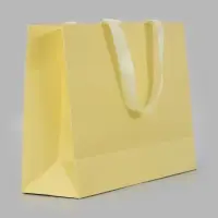Пакет подарочный, ламинированный, горизонтальный, 32&times;25&times;11 см, сливочный