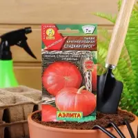 Набор семян Тыква крупноплодная "Сладкий пирог", 5 шт. Набор семян Тыква крупноплодная "Сладкий пирог", 5 шт.