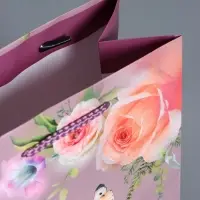 Пакет подарочный ламинированный, "Танец бабочки" 18 х 22,3 х 10 см