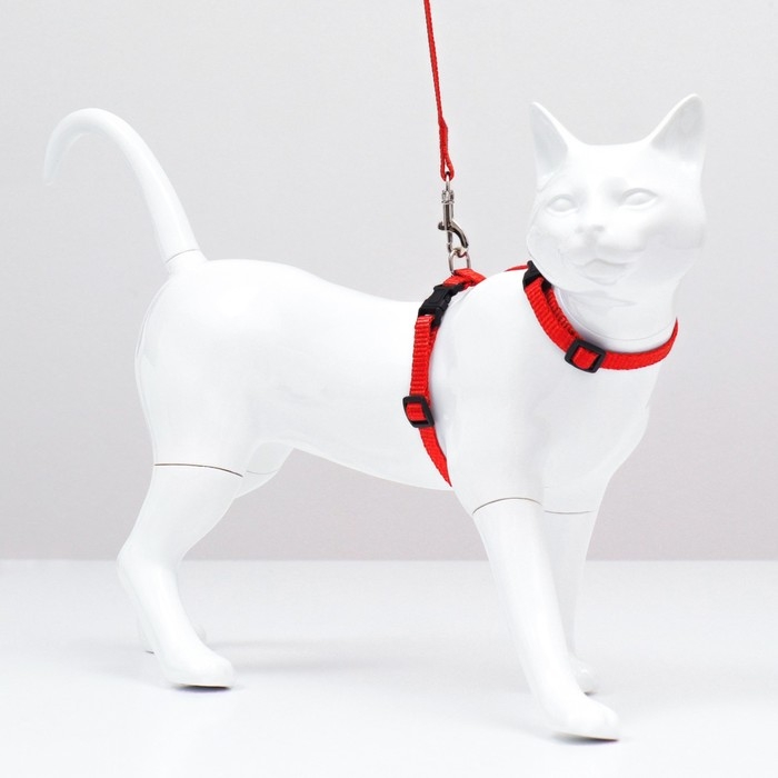 Комплект для кошек, ширина 1 см, ОШ 16,5-27 см, ОГ 21-35 см, поводок 120 см, красный