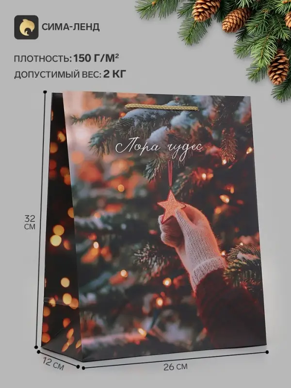 Пакет подарочный &laquo;Пора чудес&raquo;, 26&times;12&times;32 см