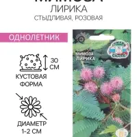 Семена цветов Мимоза "Лирика", стыдливая, розовая, Евро, 0,1 г Семена цветов Мимоза "Лирика", стыдливая, розовая, Евро, 0,1 г