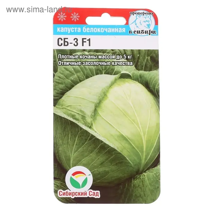 Семена Капусты белокочанной Семена Капусты белокочанной "СБ-3", F1, 25 шт.