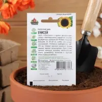 Семена Подсолнечник "Енисей", ц/п,  ХИТ х3, 5 г Семена Подсолнечник "Енисей", ц/п,  ХИТ х3, 5 г