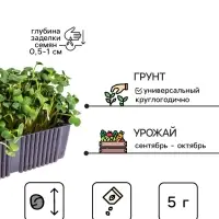 Семена Микрозелень Руккола, 5 г, &laquo;Рецепты дедушки Никиты&raquo;