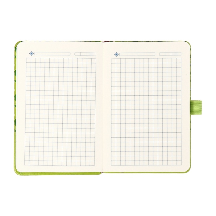 Ежедневник недатированный, формат А6, 100 листов, в клетку, обложка кожзам, на резинке, зелёный