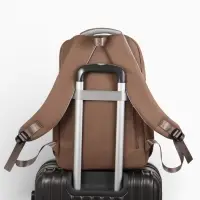 Рюкзак школьный, &laquo;Уставший кот&raquo;, 5 карманов, 2 отделения, 31&times;13.5&times;45 см, коричневый