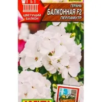 Семена цветов Герань Балконная перламутр F2 Мн Цветущий балкон, Ц/П,5 шт. Семена цветов Герань Балконная перламутр F2 Мн Цветущий балкон, Ц/П,5 шт.