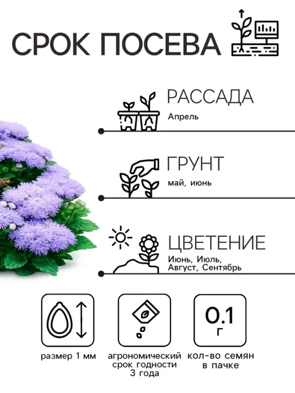 Семена цветов Агератум, голубой, 0.1 г, &laquo;Рецепты дедушки Никиты&raquo;