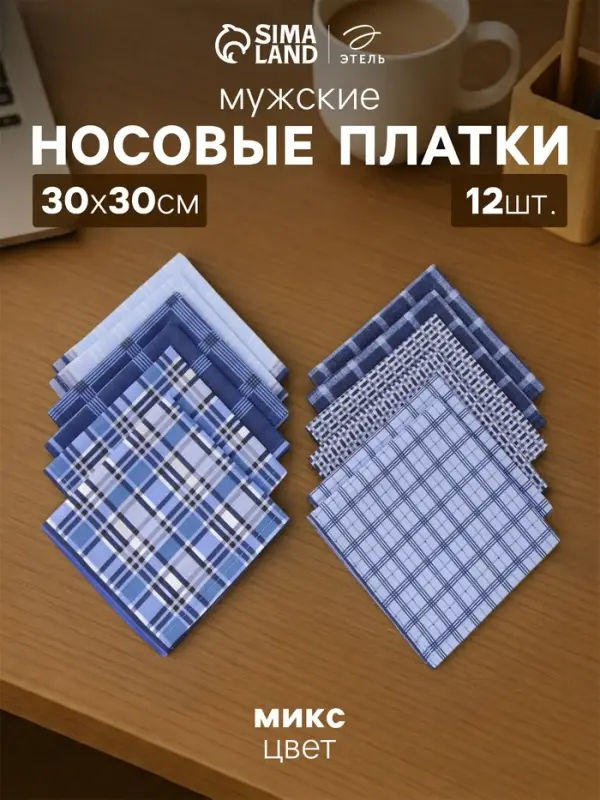 Платки носовые мужские &laquo;Этель&raquo;, 30&times;30 см, набор 12 шт., 100% хлопок, синие, рисунок МИКС