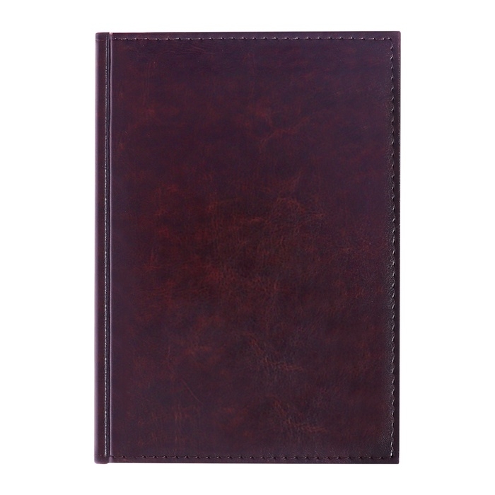 Ежедневник недатированный А5, 160 листов  Ежедневник недатированный А5, 160 листов "Небраска", тёмно-коричневый