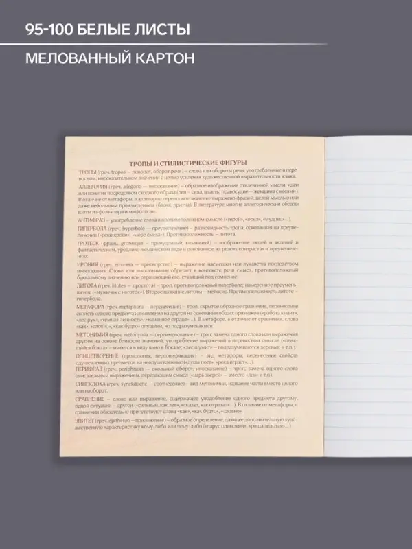 Тетрадь предметная 48 листов в линию, Calligrata «Доска. Литература», обложка мелованный картон