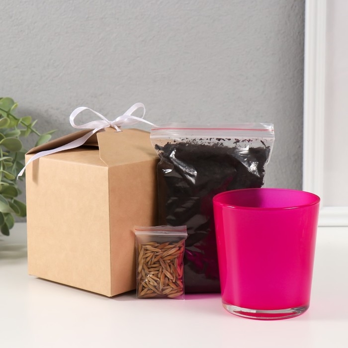 Набор для выращивания растений Набор для выращивания растений "Вырасти травку" розовый