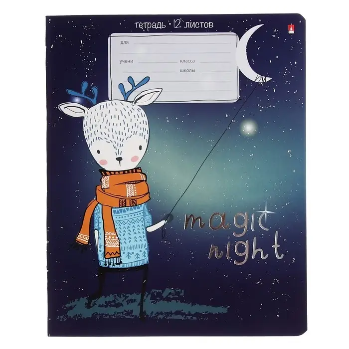 Тетрадь 12 листов в линию MAGIC NIGHT, обложка мелованный картон, фольгирование, МИКС